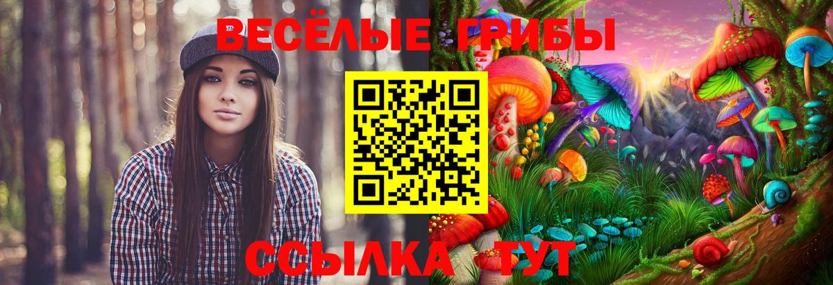 Псилоцибиновые грибы Magic Shrooms Электрогорск