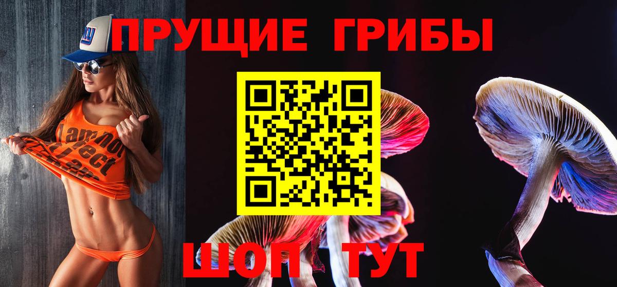 Электрогорск  Галлюциногенные грибы ЛСД  Вход с VPN  Псилоцибиновые грибы Psilocybe 